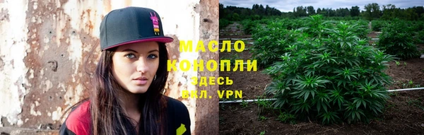 молекула духа Майский
