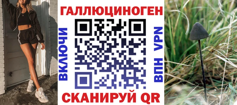 Псилоцибиновые грибы Cubensis  Пятигорск 