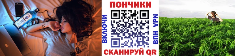 МАРИХУАНА сатива  Пятигорск 